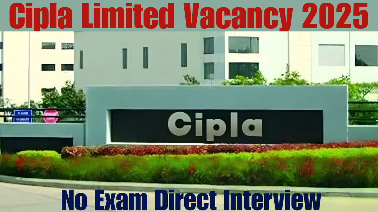 Cipla Limited Vacancy 2025
