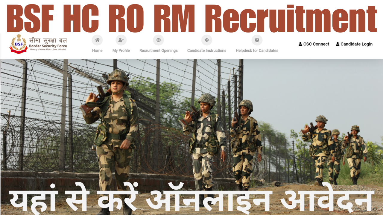 BSF HC RO RM Recruitment 2025