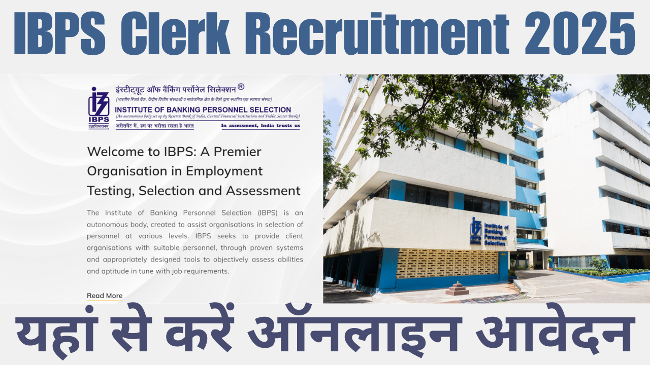 IBPS Clerk Recruitment 2025