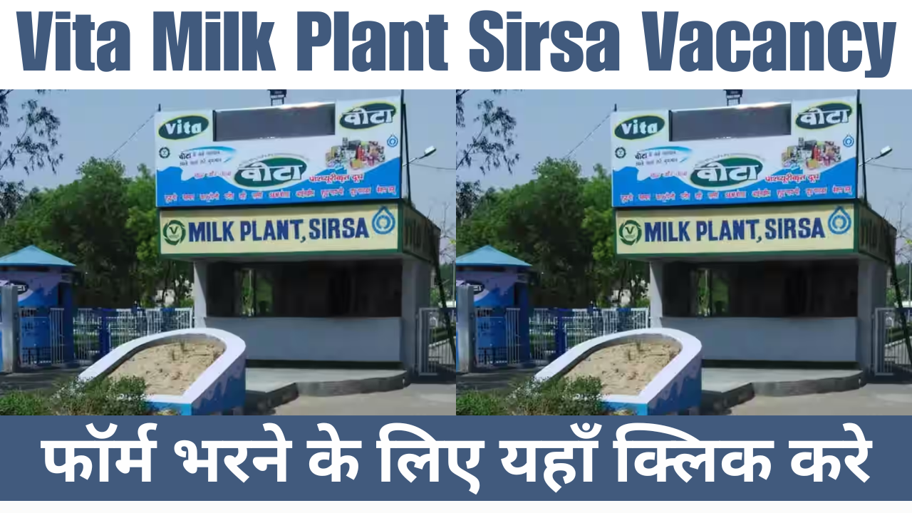 Vita Milk Plant Sirsa Vacancy 2025