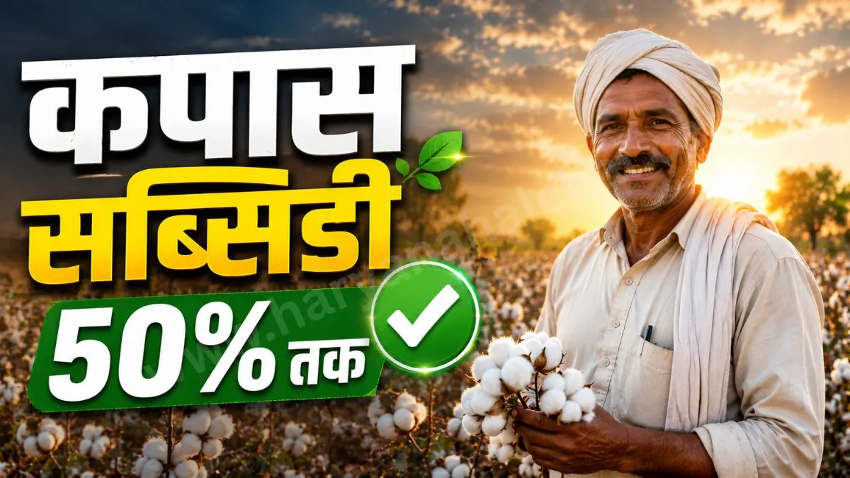Haryana Kharif Crop 2026