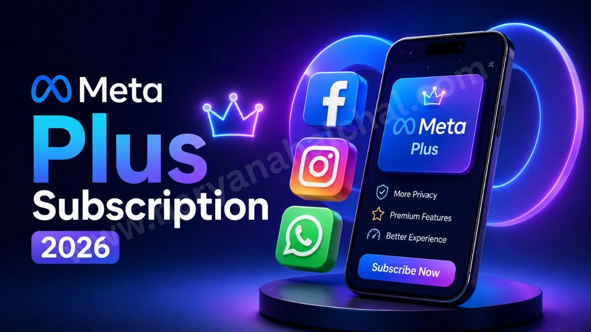 Meta Plus Subscription