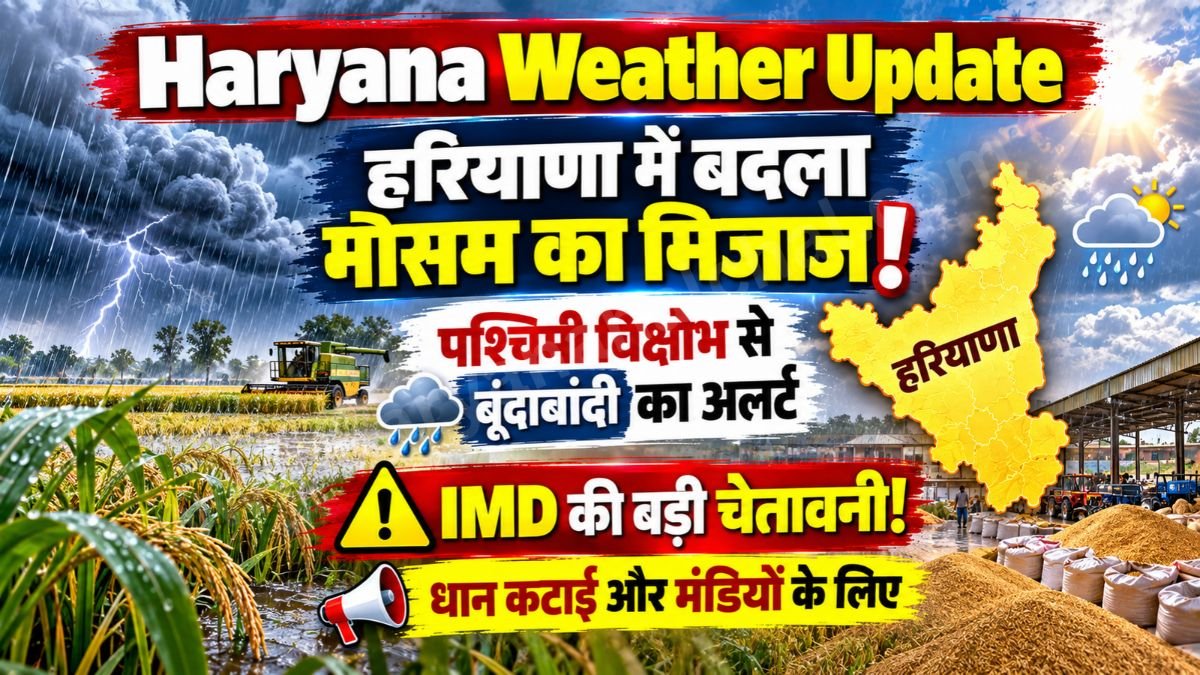 Haryana Weather Update 2026